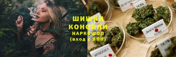 шишки Вяземский
