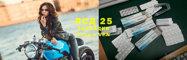 прущие грибы Горняк