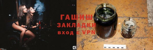 прущие грибы Горняк