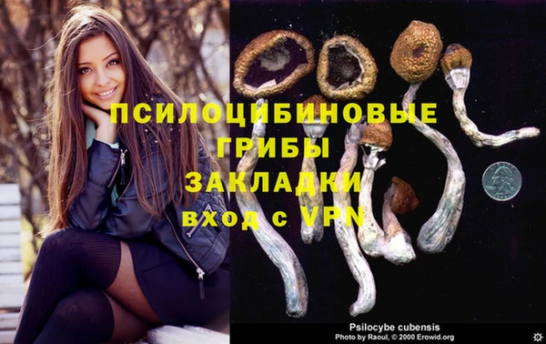 мескалин Вязьма