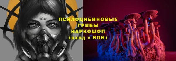 сатива Волосово