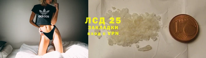 сатива Волосово