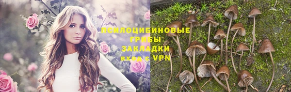 шишки Вяземский