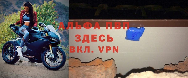 стаф Горнозаводск